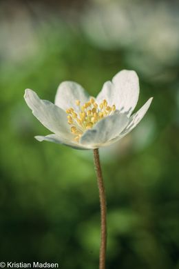IMG_3041-Edit-2
