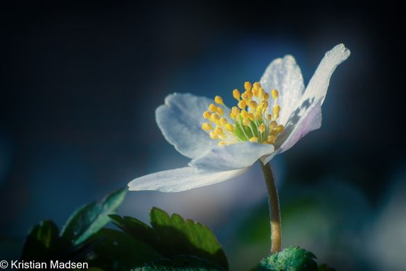 IMG_3056-Edit