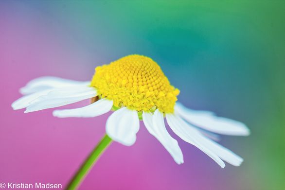 IMG_3911-Edit