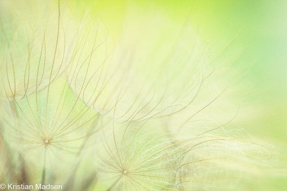 IMG_4058-Edit