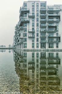 Mirror Symmetry