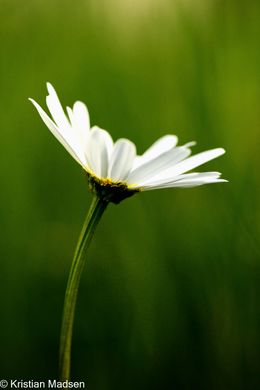 IMG_4506-Edit