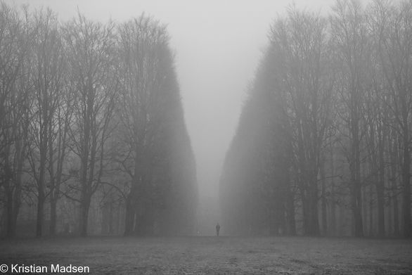 On a foggy day in the park