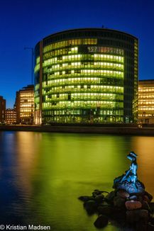 Office Building & The genetically modified little mermaid
