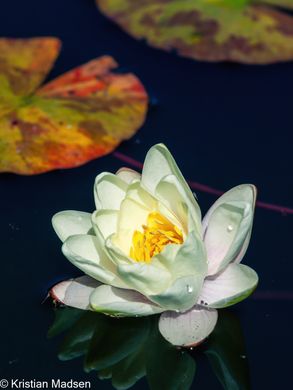 IMG_9213-Edit