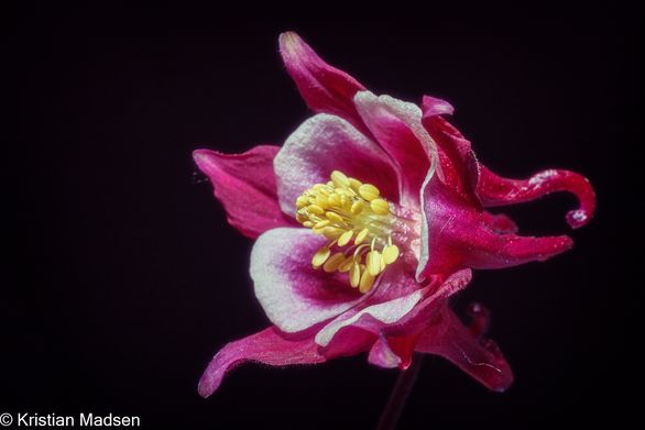 IMG_9776-Edit