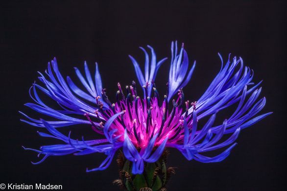 IMG_9804-Edit