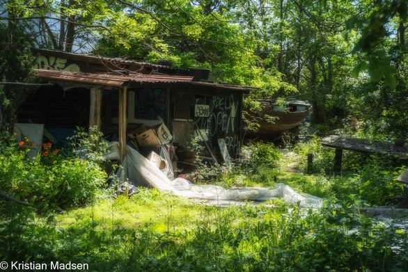 Hidden garden in the city