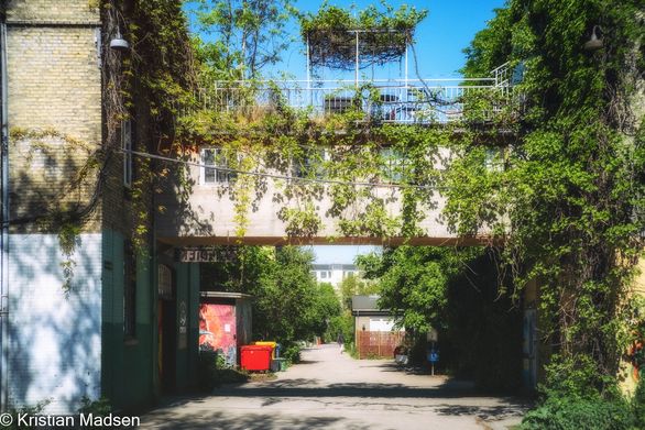 in Christiania