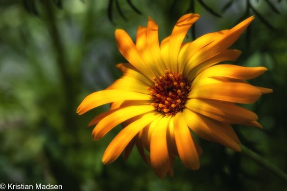 _P4A0161-Edit