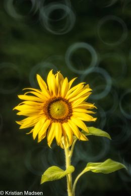 _P4A0352-Edit
