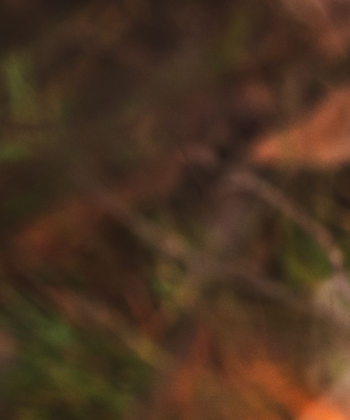 shutterstock_1879213996