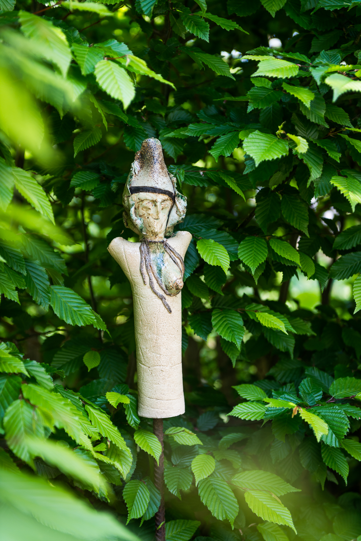 Garden - Jardin - Tuin