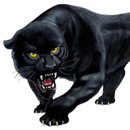 Panter