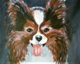 vlinderhondje