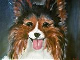 vlinderhondje