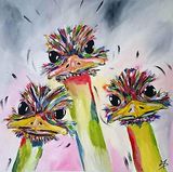 struisvogels