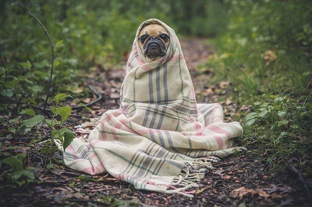 ¡qué tierno! me encantaaaaa