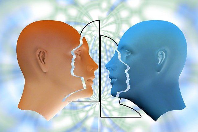 ¿Hacia dónde me lleva mi percepción?