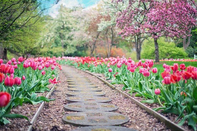 Ahhhhh! La primavera ¡tan bonita!