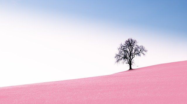 Al igual que el árbol crece en un lugar inhóspito y de soledad, yo puedo con todo.