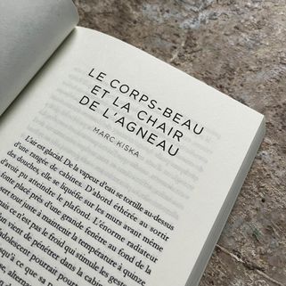 Le corps-beau et la chair de l’agneau, dans Amorphine