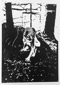 serenad Linoleum