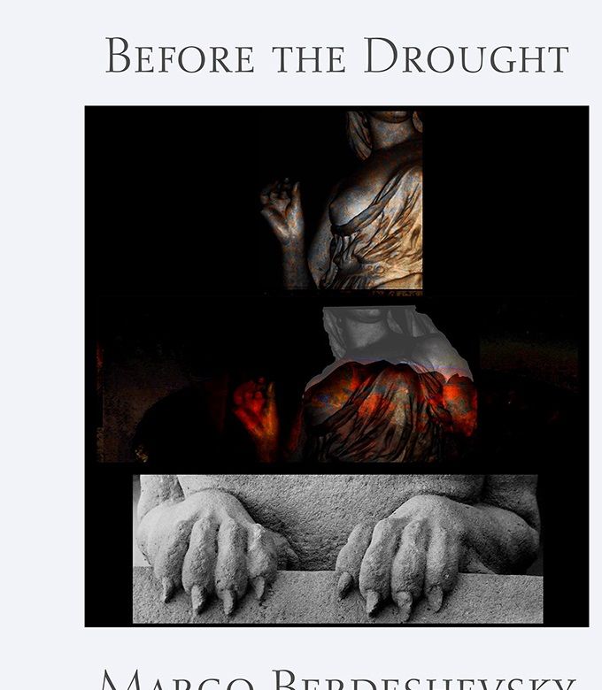 ................Her most recent book: A book of powerful poems from Glass Lyre Press.....................