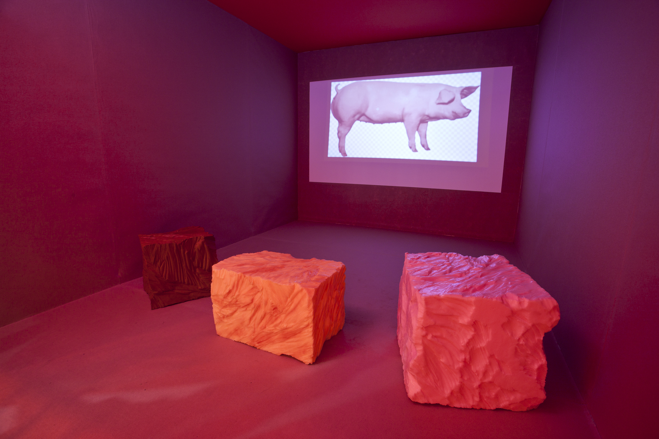Carne de mi carne: Piel (2021)