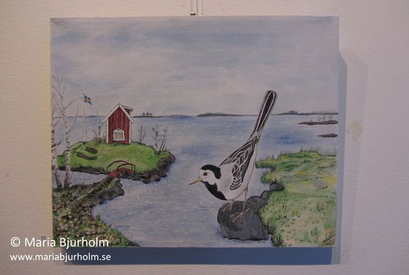 Nr 41. Sädesärlan kommer med våren