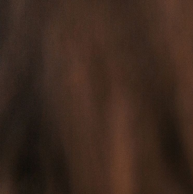 shutterstock_2044804919