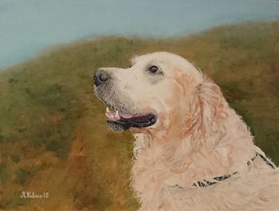 Golden retriever