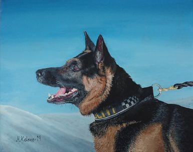 Politihunden Chico