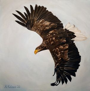 Freedom