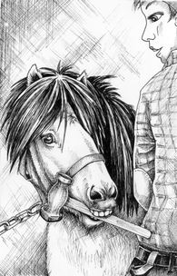 Bäst på häst - illustration från boken