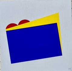 Kamuflasje