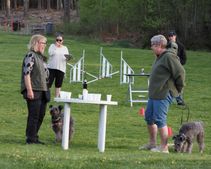Kennelträff_230519_119