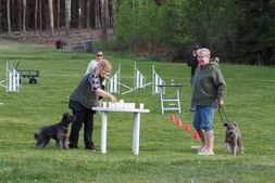 Kennelträff_230519_120