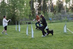 Kennelträff_230519_122