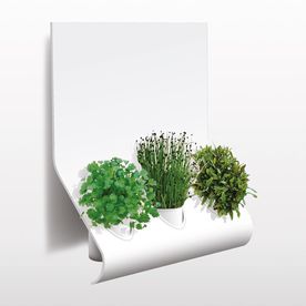2007 - Hanging garden