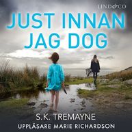 Just innan jag dog