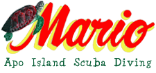 Apo island diving