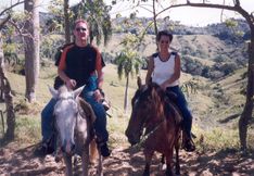 te paard