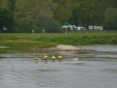 36 roeiers