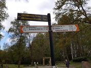 19 wegwijzer