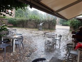 regen