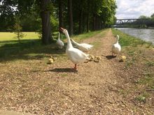 17 IMG_2041