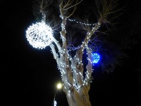 kerstboom