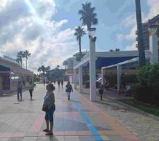 Martine boulevard