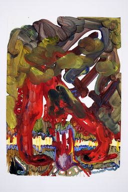 _DSF1620-